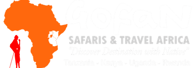 Gofan Safaris logo
